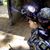 James Pine Tree Golden's profile image
