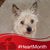 Karen Burris Neal's profile image