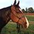 Vickie Senters's profile image