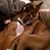 Sandy McCarl's profile image