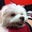 Richard Thayer's profile image