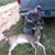 John G. Biddlecome's profile image