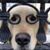 April Holt's profile image
