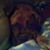 Nancy Rosella Fosnocht's profile image