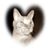 Sharon Leadbitter's profile image