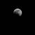 Maureen Knorr Hennessey's profile image