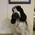 Betty Hanlon Ganung's profile image