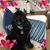 Diane Therasse's profile image