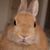 Sheri Bityk's profile image