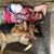 Shelia M. Drummond's profile image