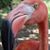 Cyndee Scott's profile image