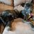 Heather Lyn Browne's profile image
