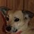 Dale Teille's profile image