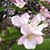 Kathy Truax's profile image