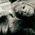 Lori Seligson Brooks's profile image