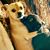 Deanna Grandstaff's profile image