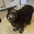 Melissa Gerhardson's profile image