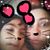 Barbara Ann Henson's profile image