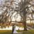 Lauren Moffitt Harris's profile image