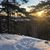 Lori Tillman Sutherland's profile image
