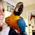 Beth Amerspek's profile image