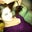 Krystal Barrett's profile image