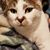 Eric Deveau's profile image