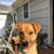 Diane Clemens's profile image