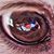 Ken Martin's profile image