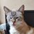 Judy Waters's profile image