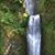 Lindy Chauvin Parrish's profile image
