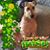 Lynn Rouse's profile image
