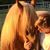 Jennifer Lillie Clymer's profile image