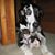 Carol Moore Ickes's profile image