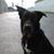 Roshawn Post's profile image