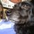 Rose M. Sisk's profile image