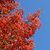 Suzi Teghtmeyer's profile image