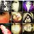 Michelle Zimmer's profile image
