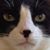 Linelle Lane's profile image