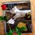 April Miller's profile image