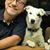Mark Fryar's profile image