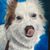 Christi Wolgemuth Luke's profile image