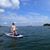 Virginia Sheppa Shupe's profile image