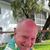 Roy Bickel's profile image
