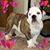Katie Boo Conatser's profile image