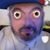 Valentin Salazar Ortega's profile image