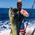 Ryan Kimberling's profile image