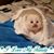Kathryn Martinez's profile image