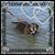 Dianne Hoch Johnson's profile image