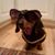 Vickie Walkowitz's profile image